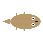 Back Leg Length: Short