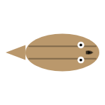 Eyes: Small