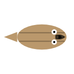 Mouth Size: Large