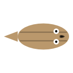 Shell Width: None