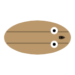 Tail Length: None