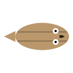 Tail Length: Short